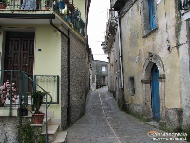 Rughe suprane 023